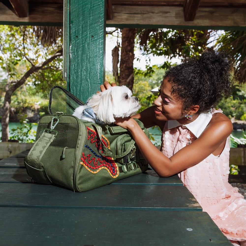 Authentic Sprayground WON'T STOP TILL THE TOP PET CARRIER NWT - Picture 2 of 12